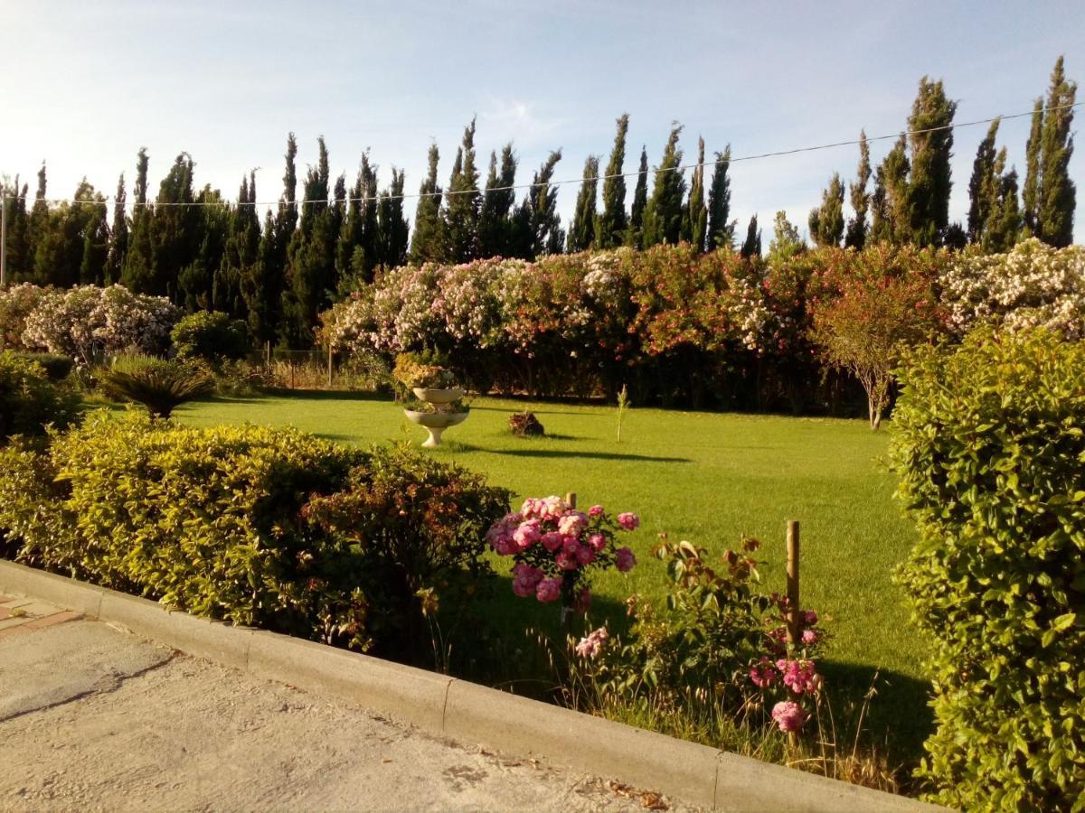 Le Rose Apartment Olmedo Exterior foto