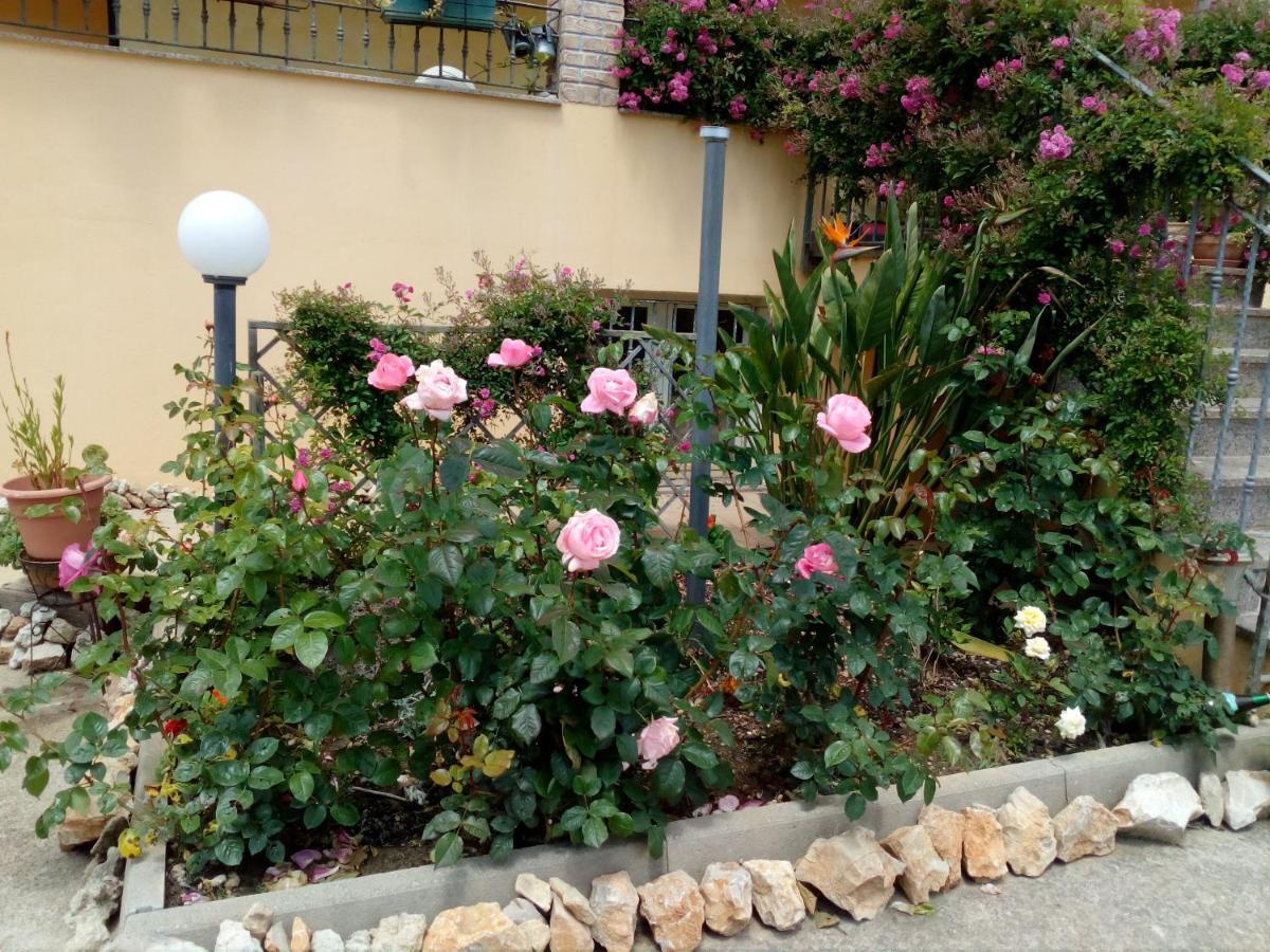 Le Rose Apartment Olmedo Exterior foto